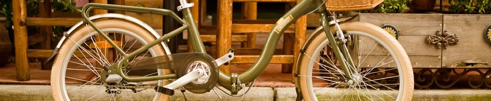 Barcelona Citizen Folding Bike
